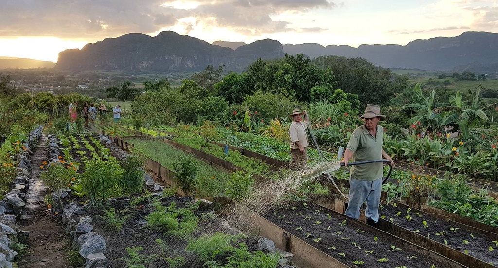 Viñales Day Trip