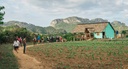 Viñales Day Trip