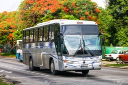 Passenger Transportation